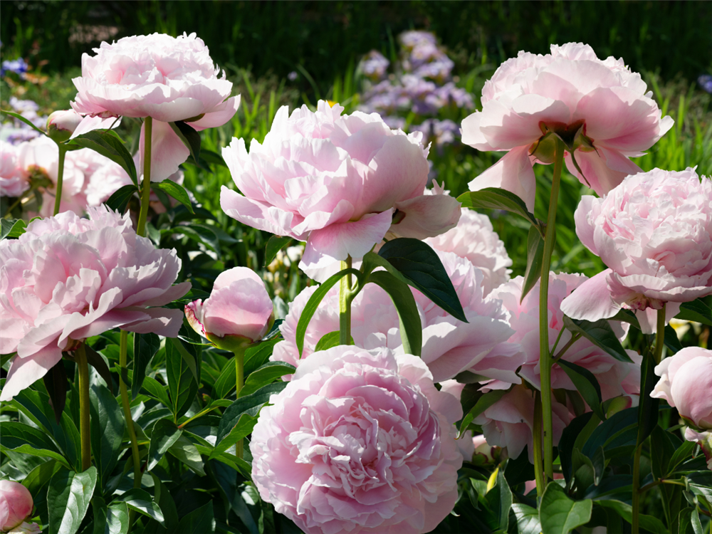 Blog post image